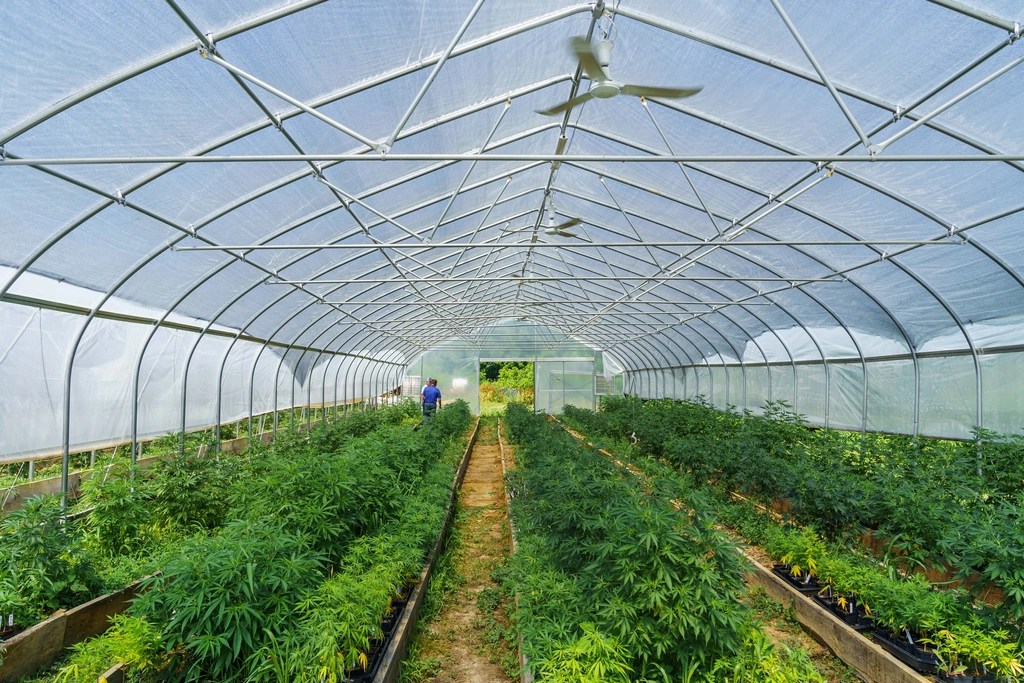 Sustainable Sourcing in the Garment and Produce Industries