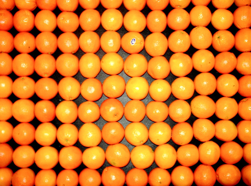 Fresh Navel Oranges (Grade A)